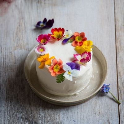 کیک-تولد-مینی-ترند-۱۴۰۴