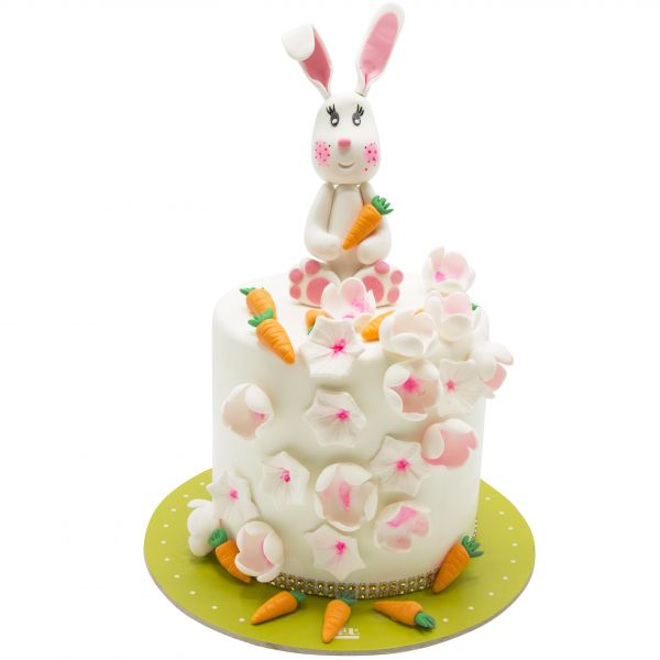 کیک تولد خرگوش 5