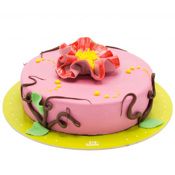 کیک تولد دخترانه گل آرزو