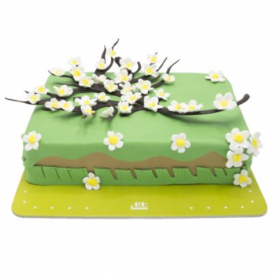 کیک تولد فوندانت گل شاخه درخت